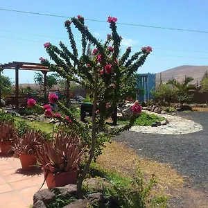 https://casa-rural-soleario.in-canary-islands.com